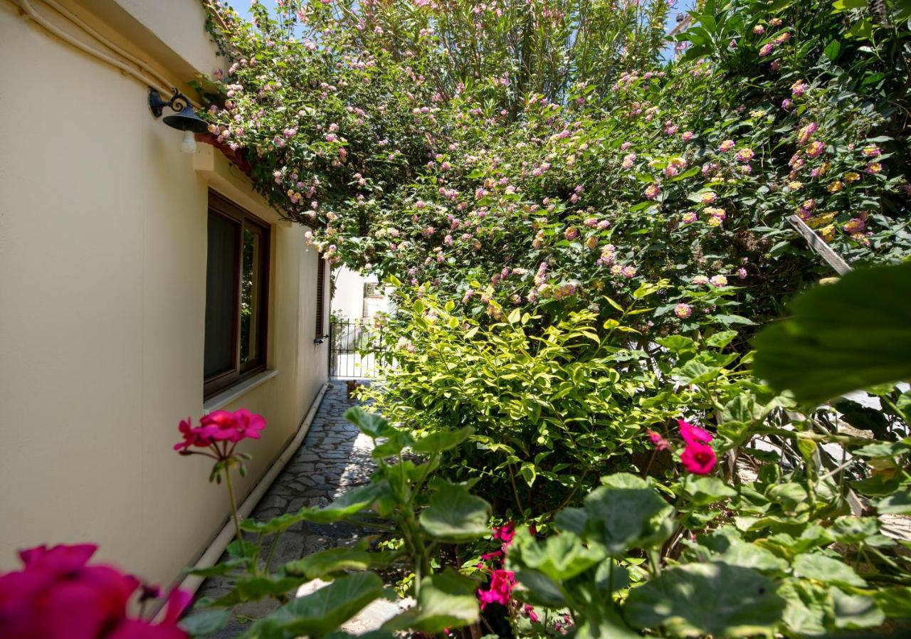 Villa Elisavet's House à Platanés Extérieur photo